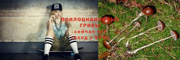 таблы Ладушкин